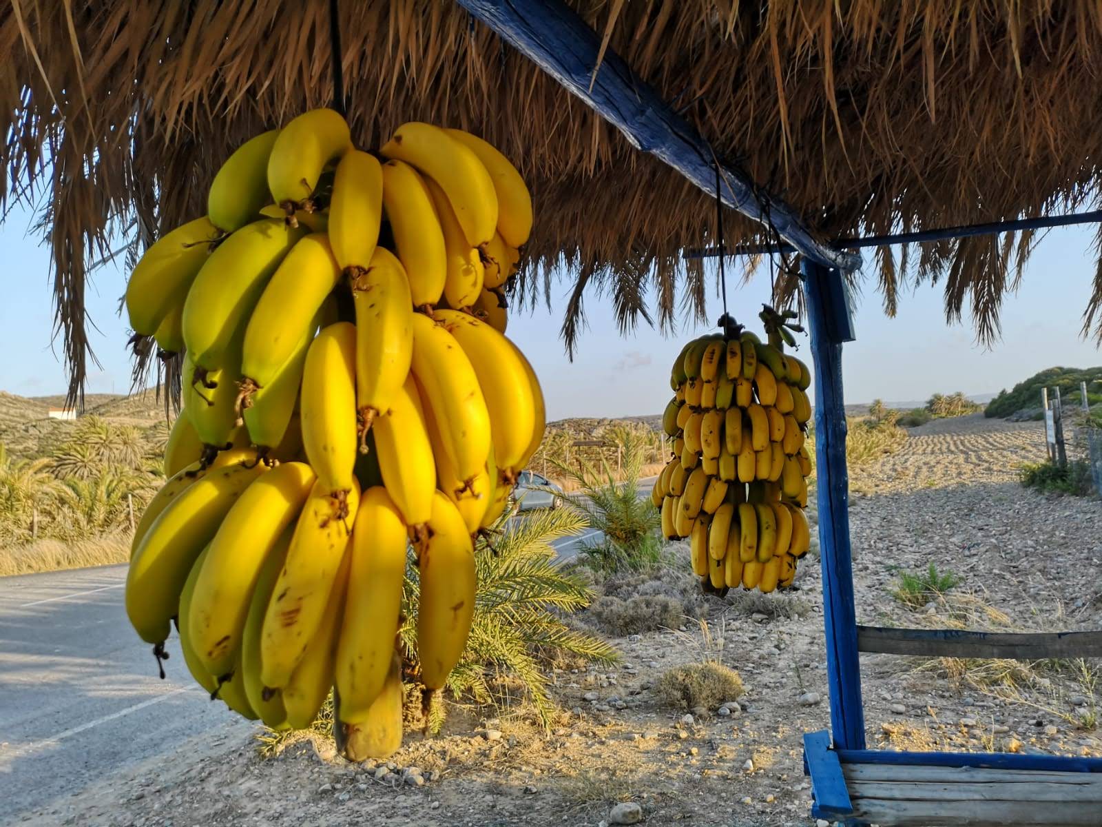 banane_creta