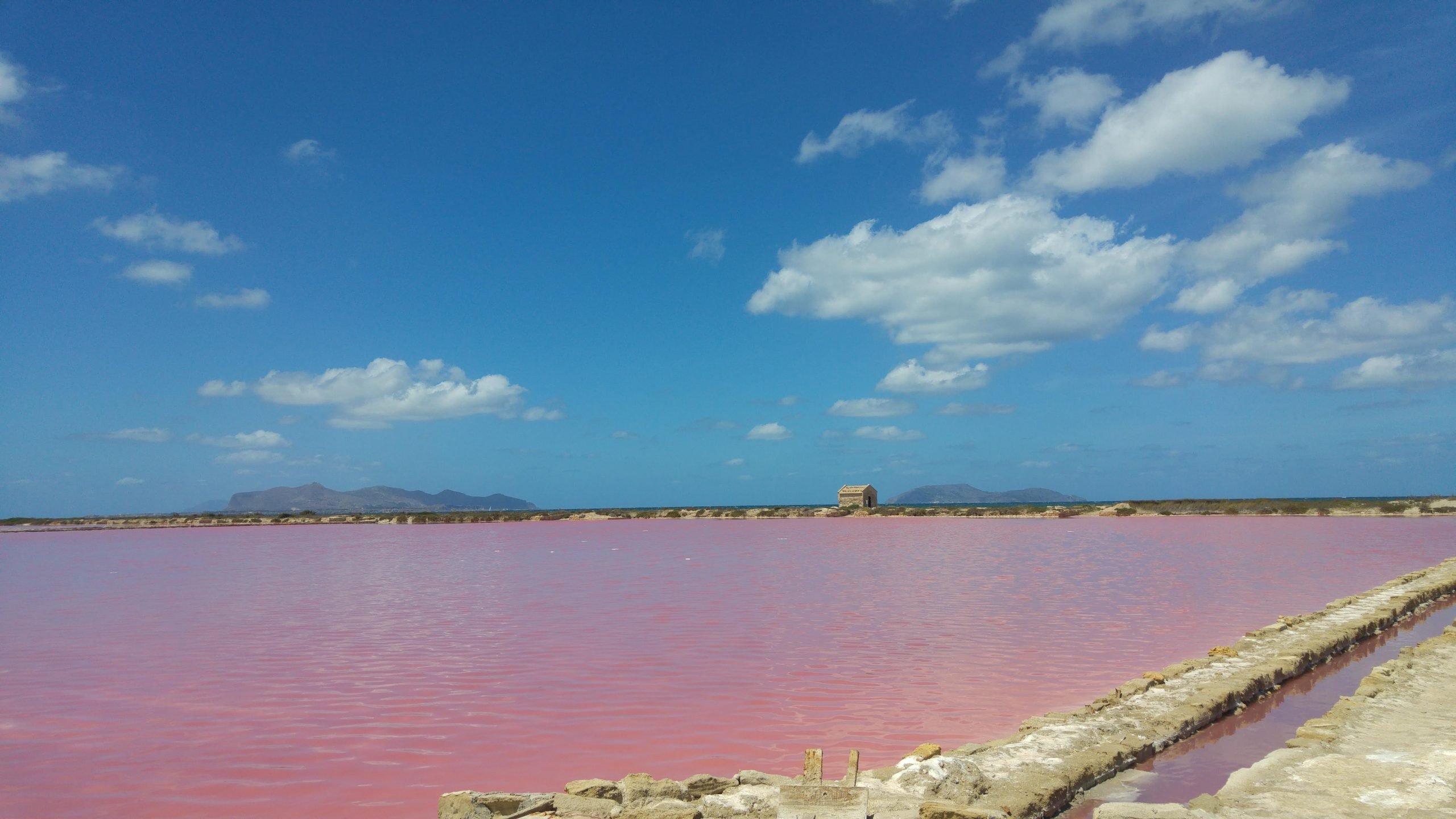 In Sicilia le saline rosa più belle d'Italia