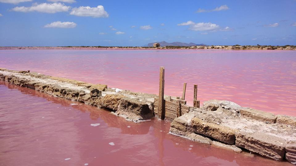 Saline rosa dello Stagnone Di Marsala
