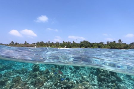 Kudafushi_dome_port