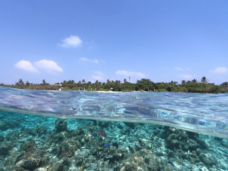 Snorkeling ed immersioni alle Maldive; recensione del Resort italiano Kudafushi, Atollo di Raa