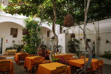 Cortile interno con giardino e viti centenarie dell hotel Feola a Ponza