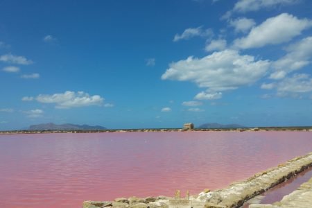 Saline rosa di Marsala con muretti e cielo azzurro