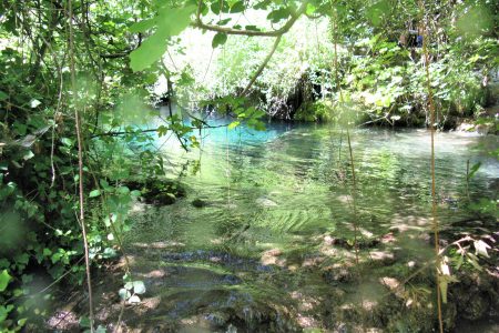 torrente limpido tra la vegetazione al Calcinara